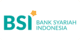 BSI Payment Logo